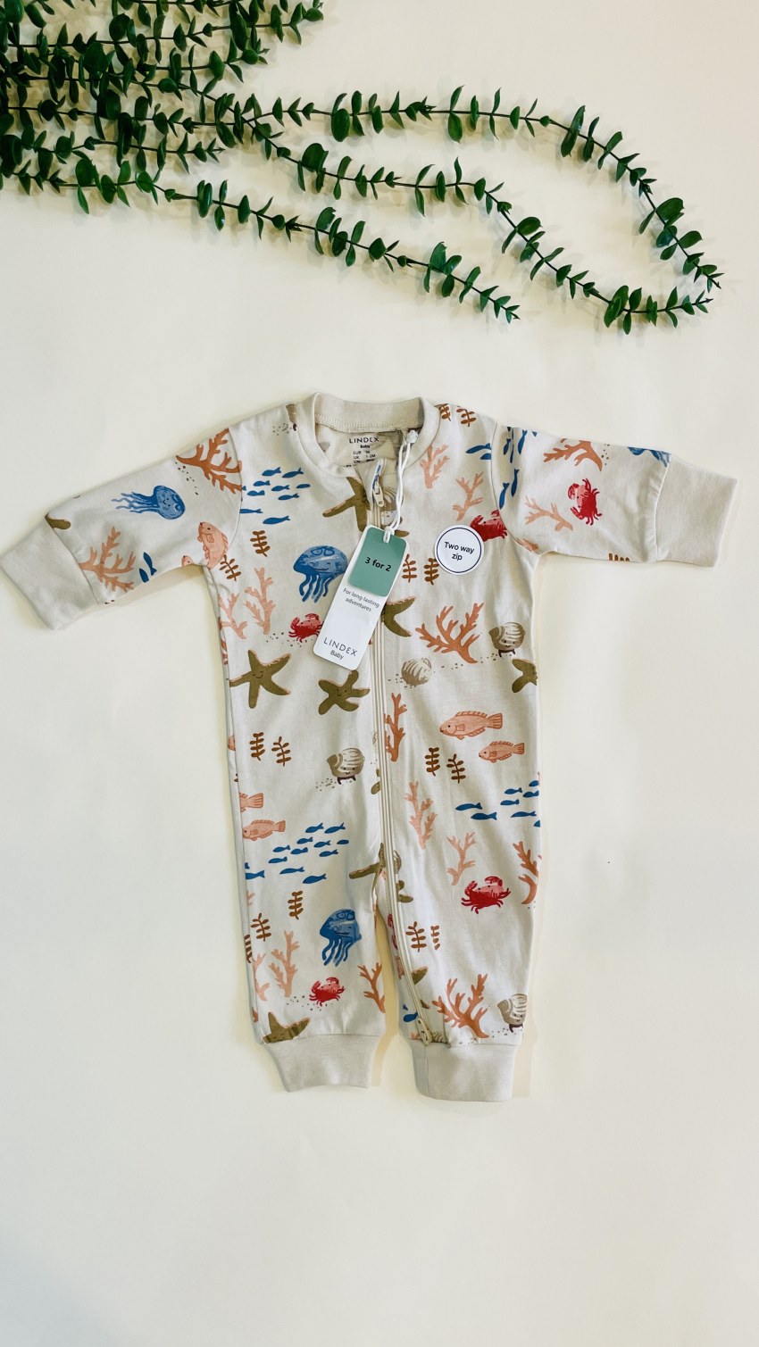 سرهمی ماهی و جلبک